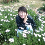 thảo ty