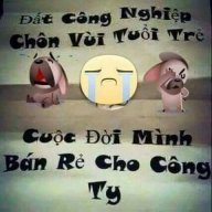 TranDinhThuy