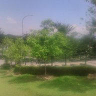 trần huy cường