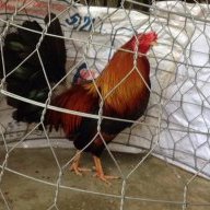 Nguyễn hiệp010291