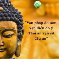 ĐạiPhát236